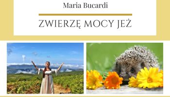 Maria Bucardi Zwierzę Mocy znaczenie Jeż