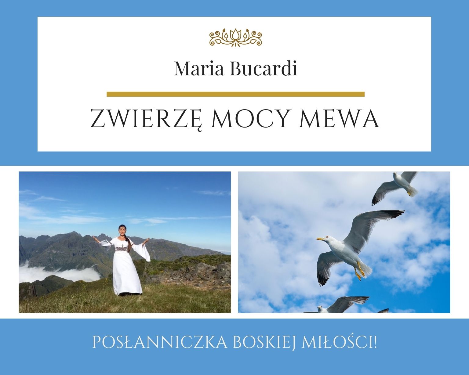 Maria Bucardi Zwierzę Mocy znaczenie Mewa