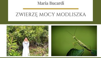 Maria Bucardi Zwierzę Mocy znaczenie Modliszka