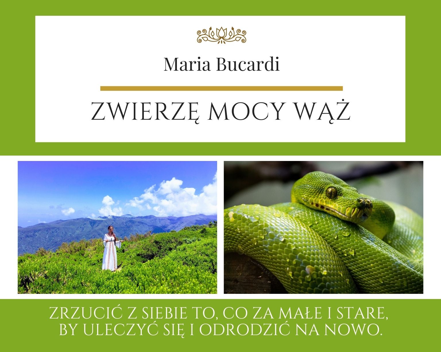 Maria Bucardi Zwierzę Mocy znaczenie Wąż